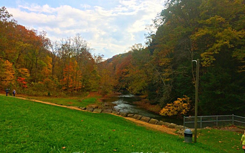 Mohican State Park