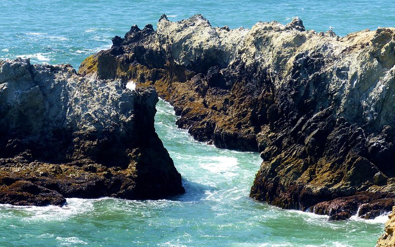 Sonoma Coast State Beach