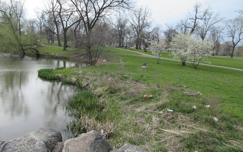 Douglas Park