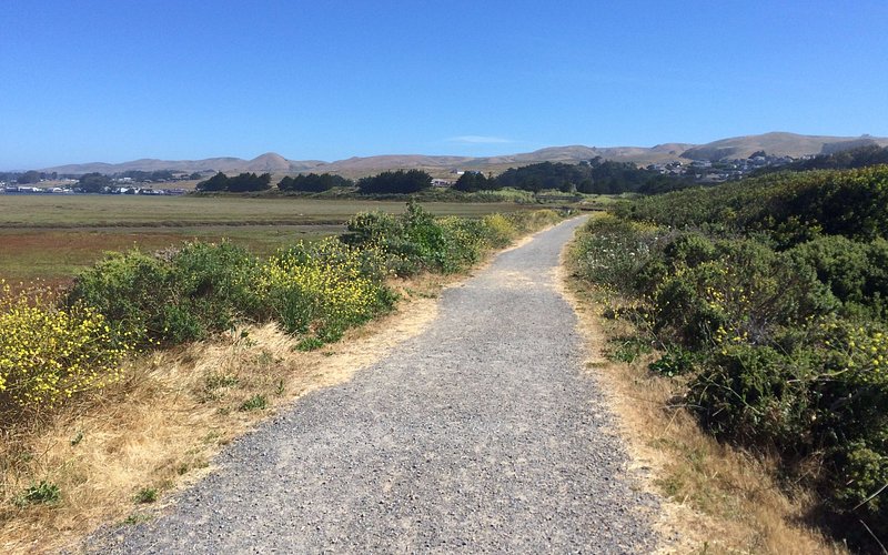 Bird Walk Coastal Access Trail