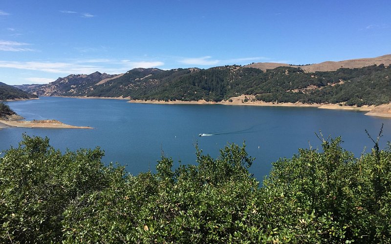 Lake Sonoma