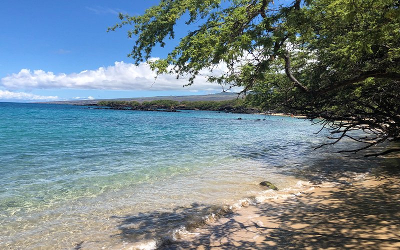 Waialea Beach