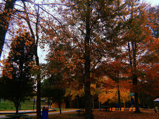 Lions Club and Community Park