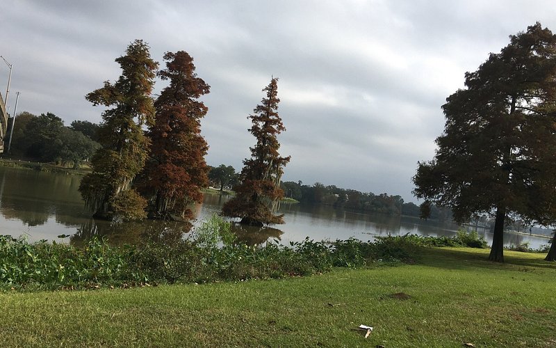 University Lake