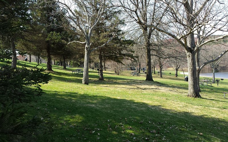 Greenwood Park