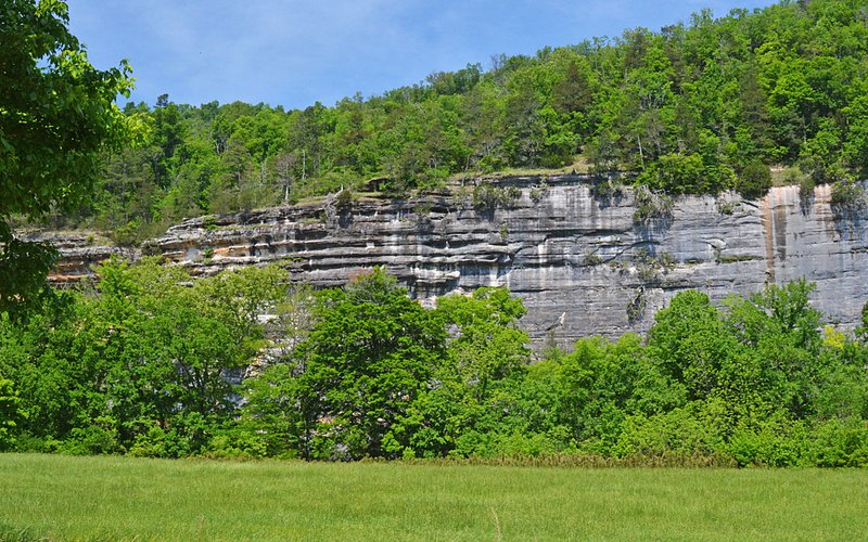 Wild Bill's Outfitter