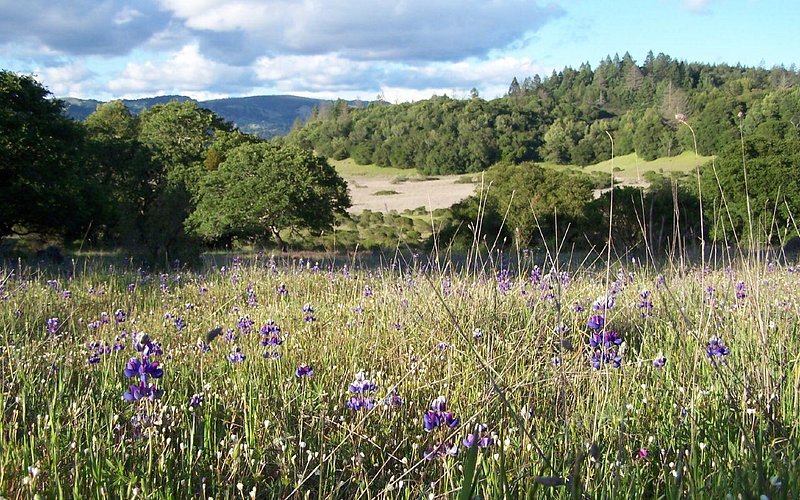 Annadel State Park