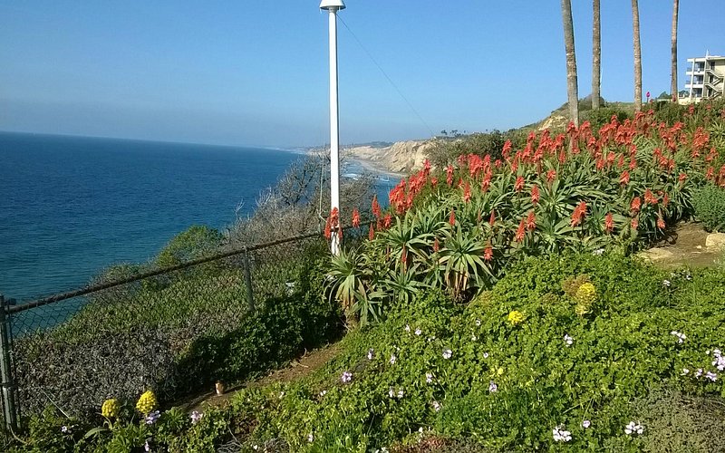 Scripps Institute of Oceanography Coastal Reserve