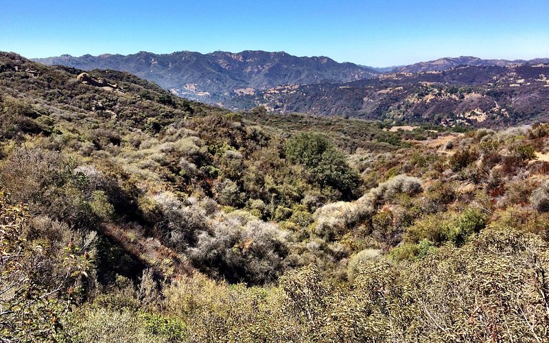 Topanga State Park