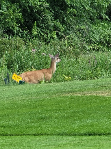 Binder Park Golf Course