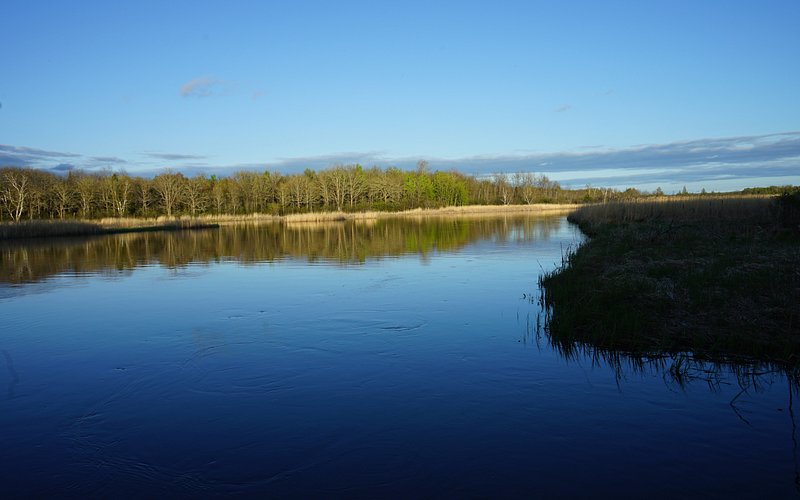 Schoolcraft State Park