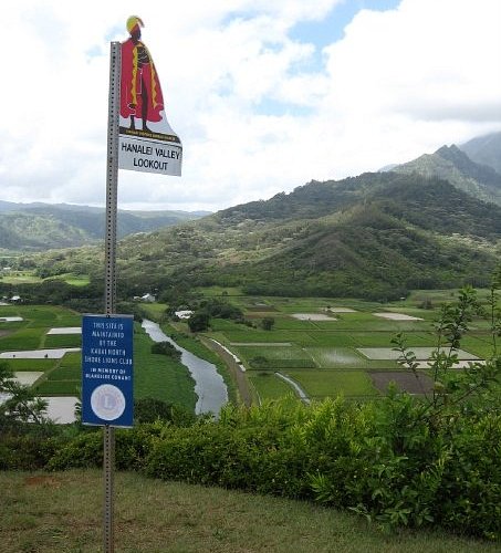 Hanalei River