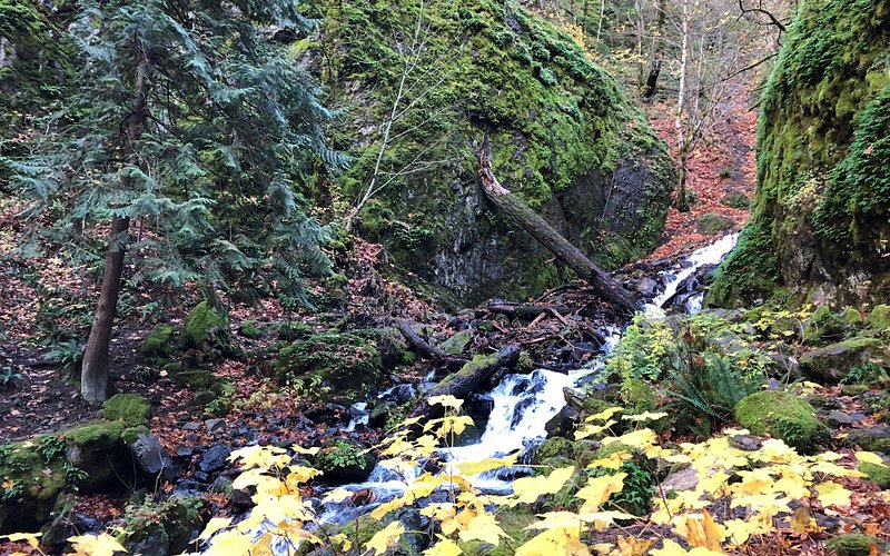 Starvation Creek State Park