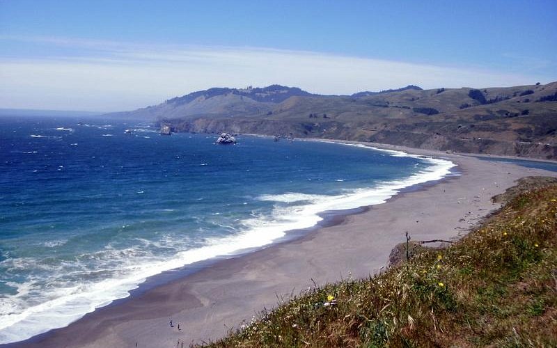 Goat Rock Beaches