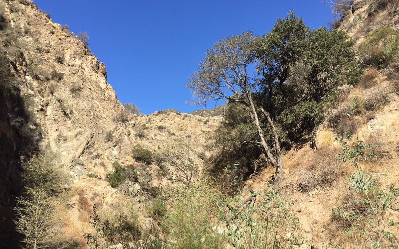 Eaton Canyon Natural Area