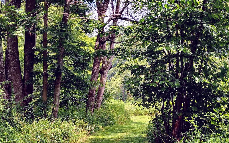 Oil Creek State Park