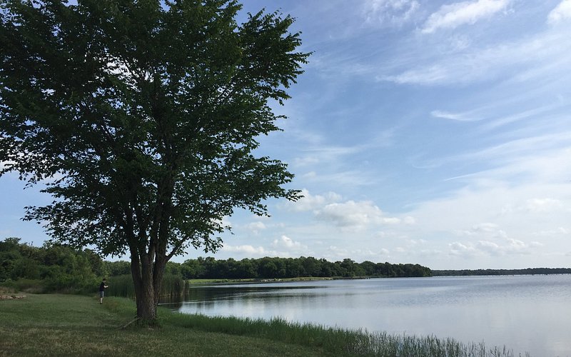 Purtis Creek State Park