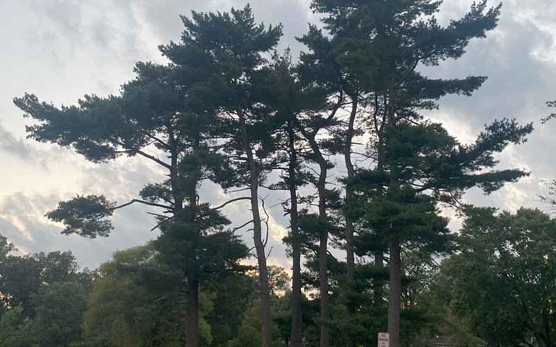Strawbridge Lake Park