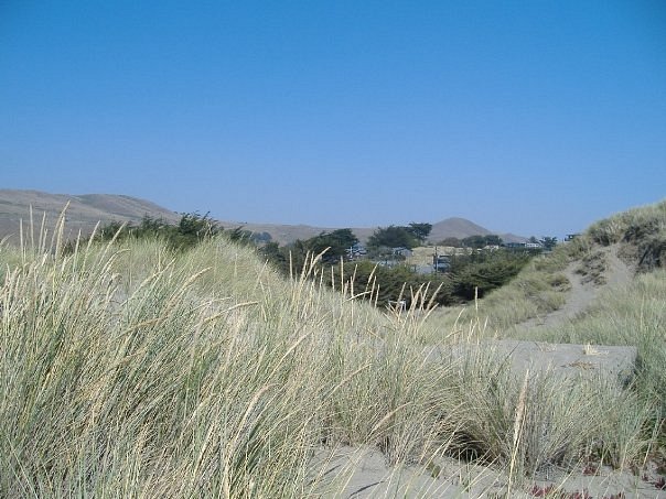 Bodega Dunes