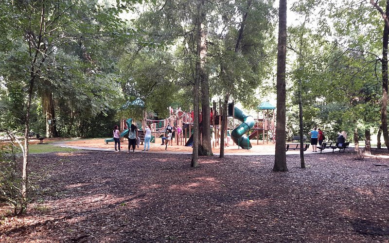 Maitland Community Park