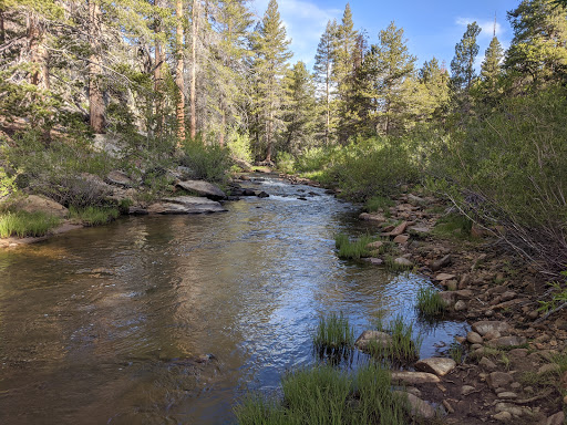 Forks of the Kern River