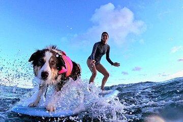 Private 1-on-1 Surf Lesson with Videos and Photos