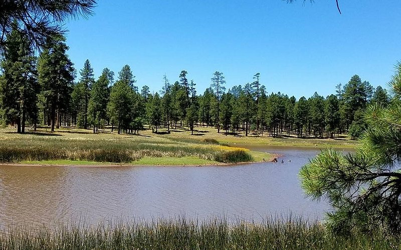 White Horse Lake Campground