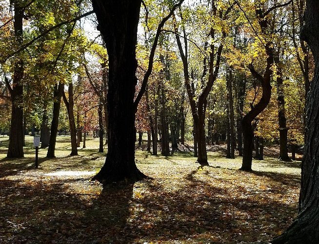 Thompson Park