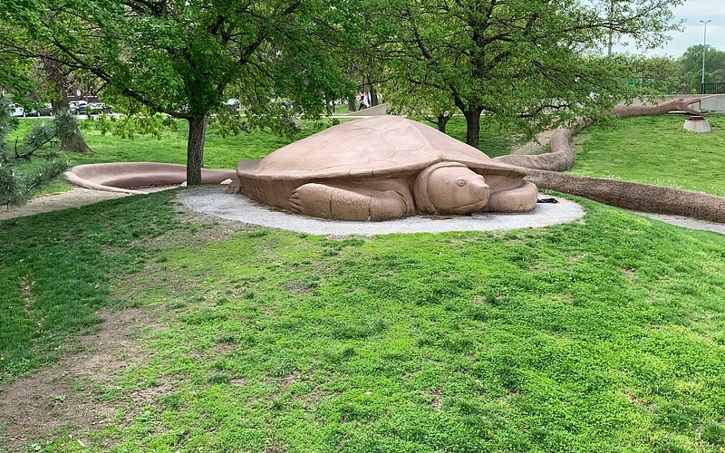 Turtle Playground