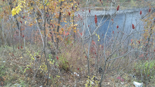 Lackawaxen River