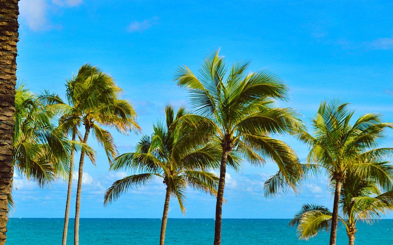 Fort Lauderdale Beach