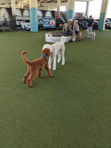 Deputy John Kotfila, Jr. Memorial Dog Park