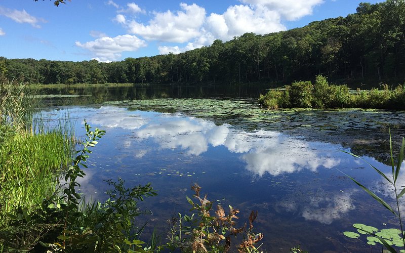 Egbert's Lake Park