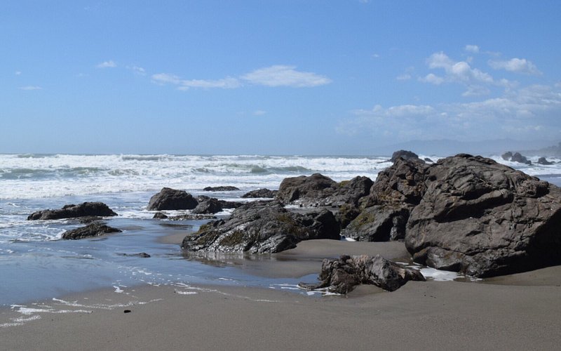Sonoma Coast State Beach - Salmon Creek