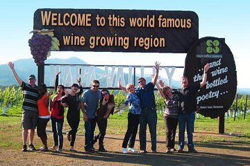 Small Group Winery Tour of Napa