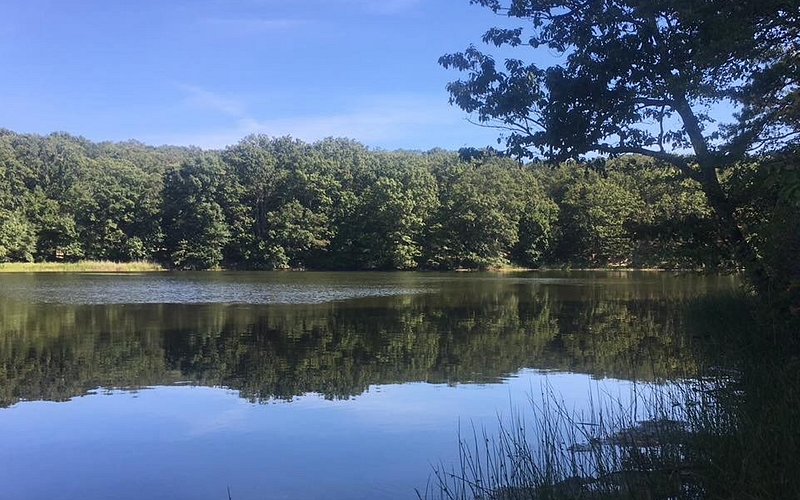 Cheesequake State Park