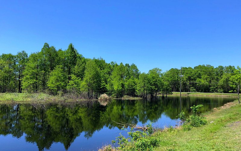 Sheldon Lake State Park & Environmental Learning Center