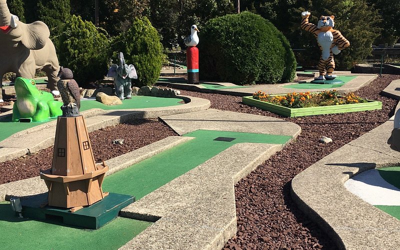 Mt Freedom Golf