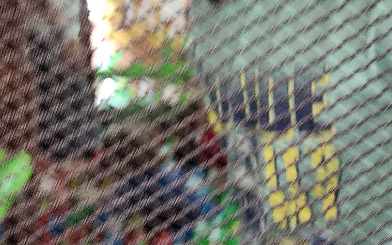 Kidz jungle land