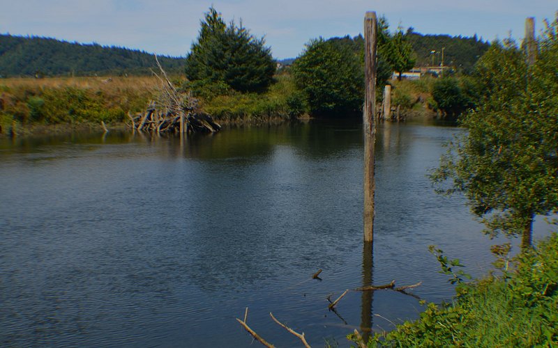 Penny Sturdivant Park