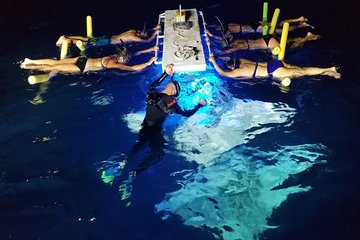 Manta Ray Night Snorkel - Experienced swimmers only