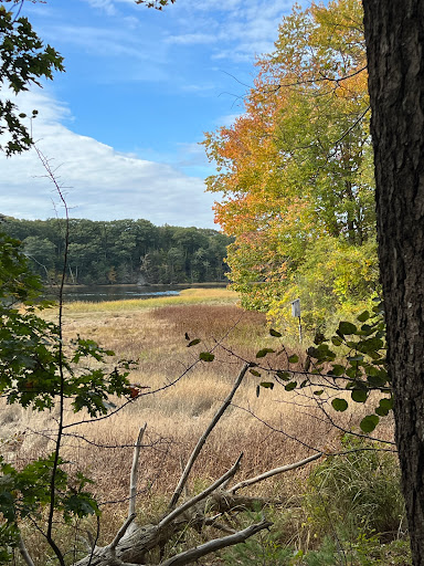 Spear Farm Estuary Preserve