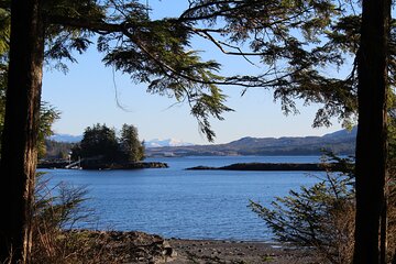 Off the Beaten Path Ketchikan Photo Safari&nbsp;- 3 hr.