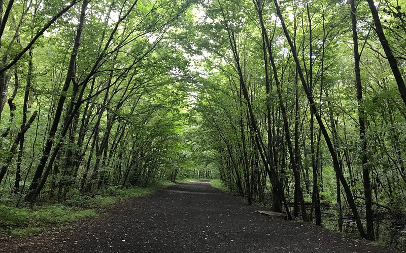 Allamuchy Mountain State Park