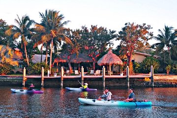 Kayak Rental: Explore Mangroves and Self-Navigated River Eco Paddle