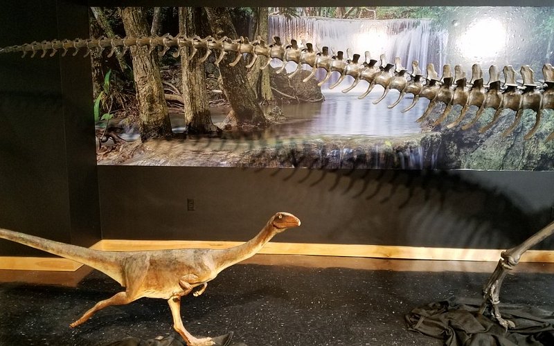 Lafayette Science Museum