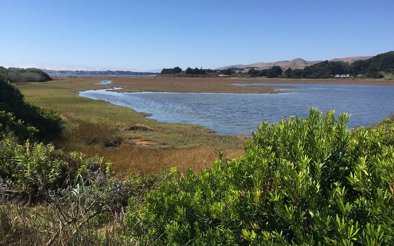 Doran Beach