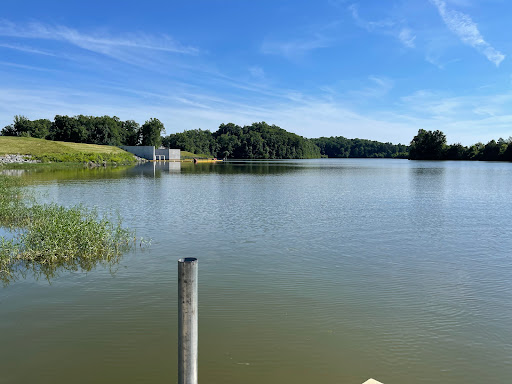 Lake Pelham Adventures Park