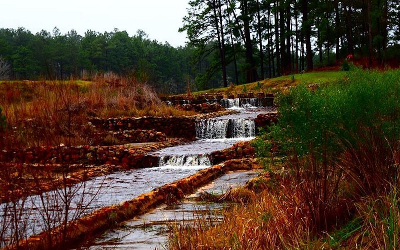Boykin Springs at Angelina National Forest