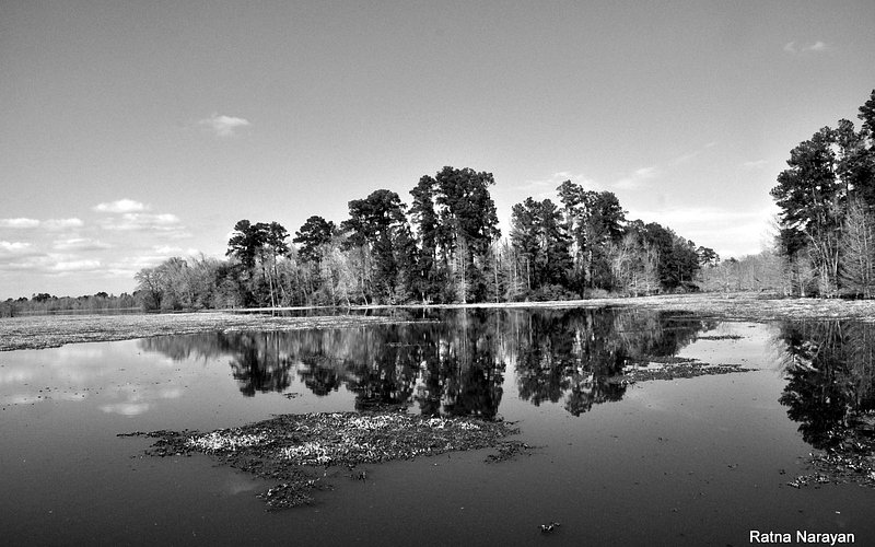 Martin Dies, Jr. State Park